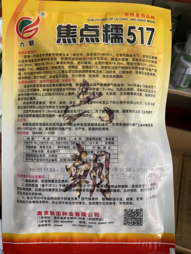又甜又糯的彩甜糯玉米（1:3）种子-焦点糯517