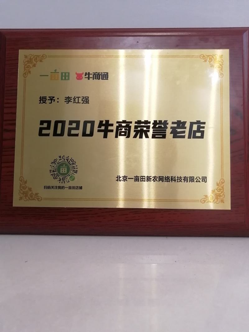突围桃苗成熟早稳产高度甜度可达16.8左右
