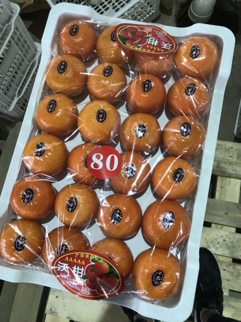 广西精品沃柑颜色鲜艳，汁水饱满，果面干净！