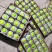雪丽11号苹果枣，春雪蜜13牛奶枣青枣一件代发，