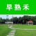 优质草坪种子冷地早熟禾种子草地早熟禾种子冷季型四季青量大