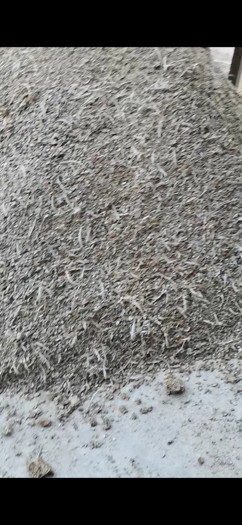 风干小鸡粪，长年大量有货量大从优。