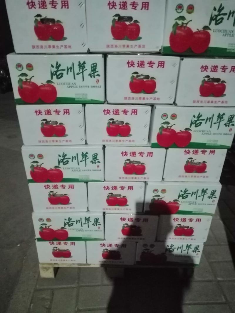 陕西洛川一级红富士苹果一件代发