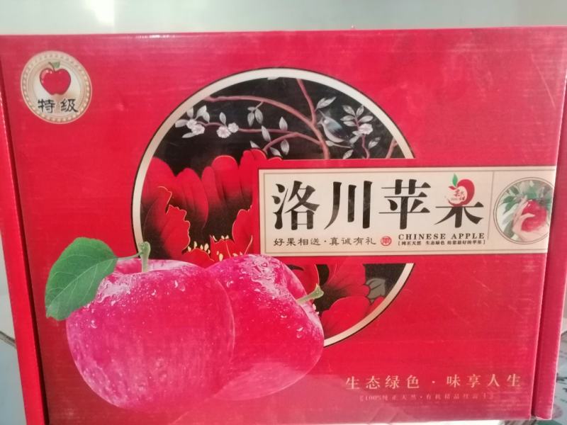 陕西洛川一级红富士苹果一件代发