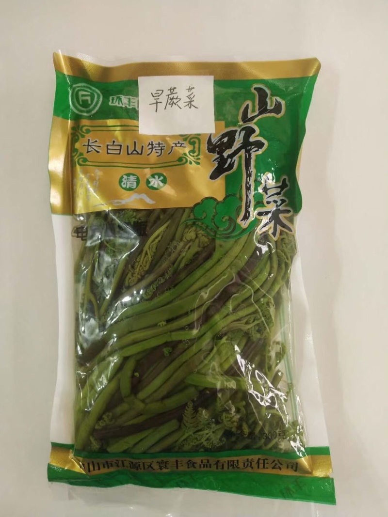 东北山野菜野生绿色山野菜批发，一手货源