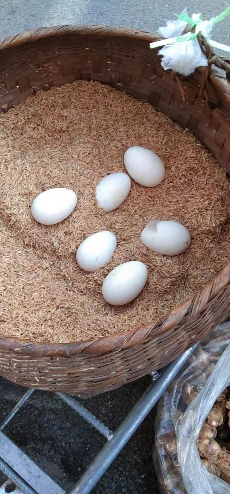 自家农村散养土鹅蛋，蛋鲜质好。