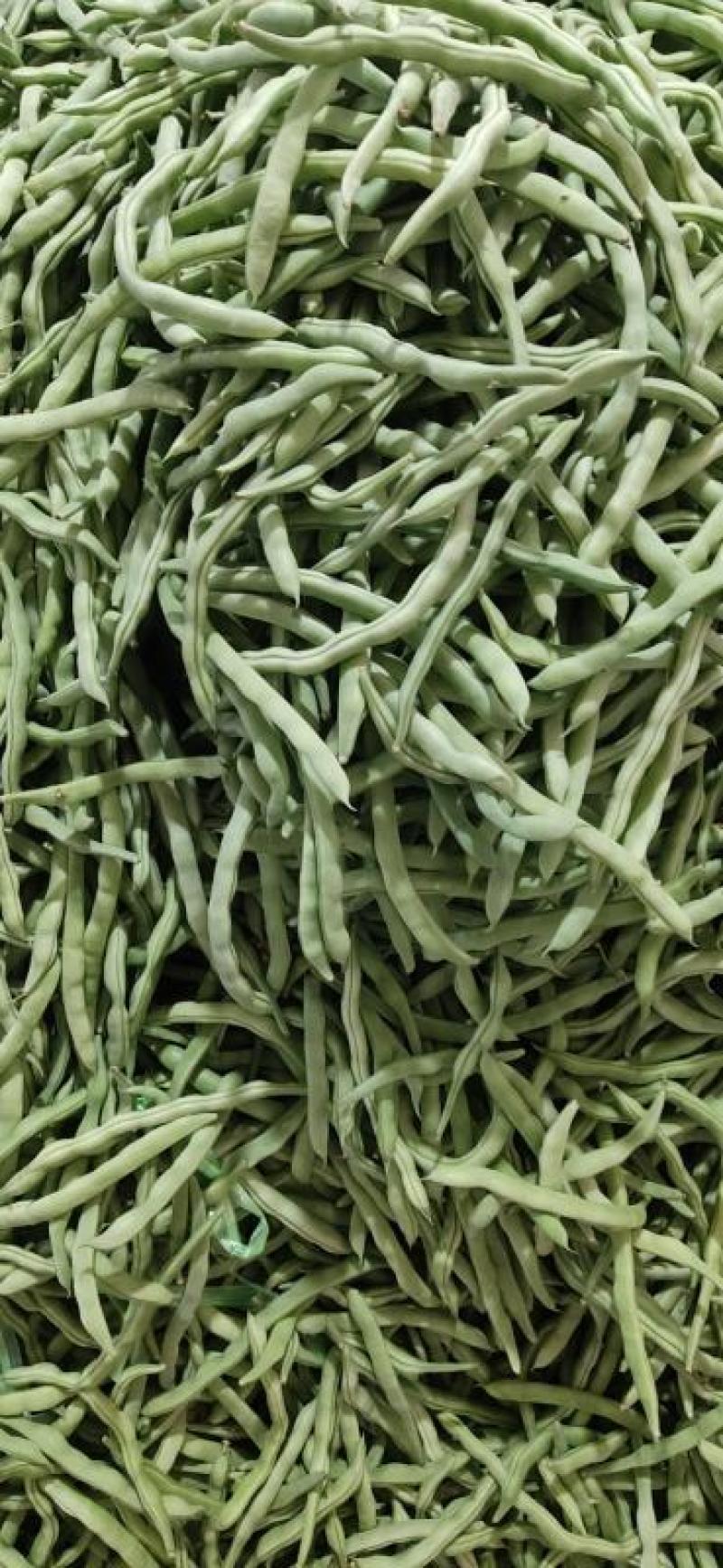 扁豆四季豆一件代发现货，代发