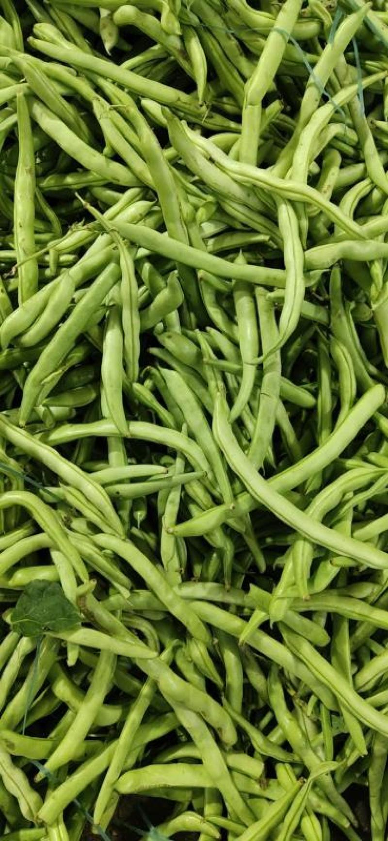 扁豆四季豆一件代发现货，代发