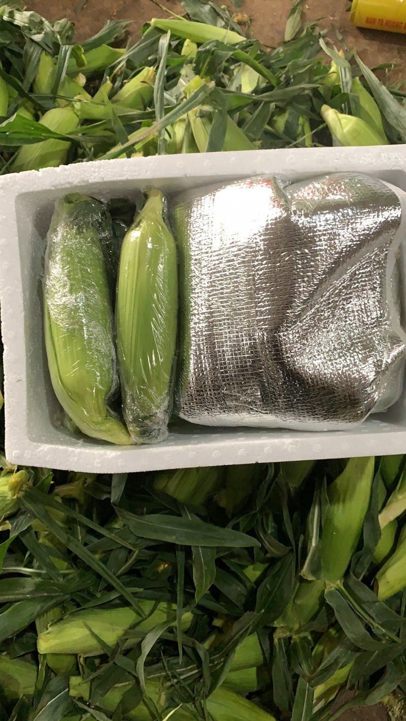 扁豆四季豆一件代发现货，代发