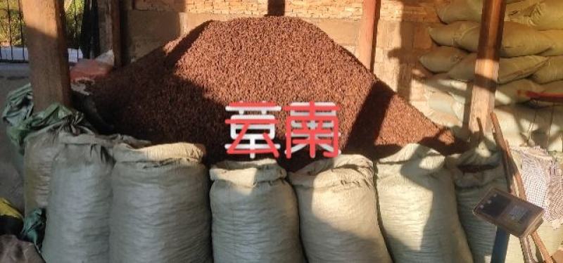 出售云南优质足干草果