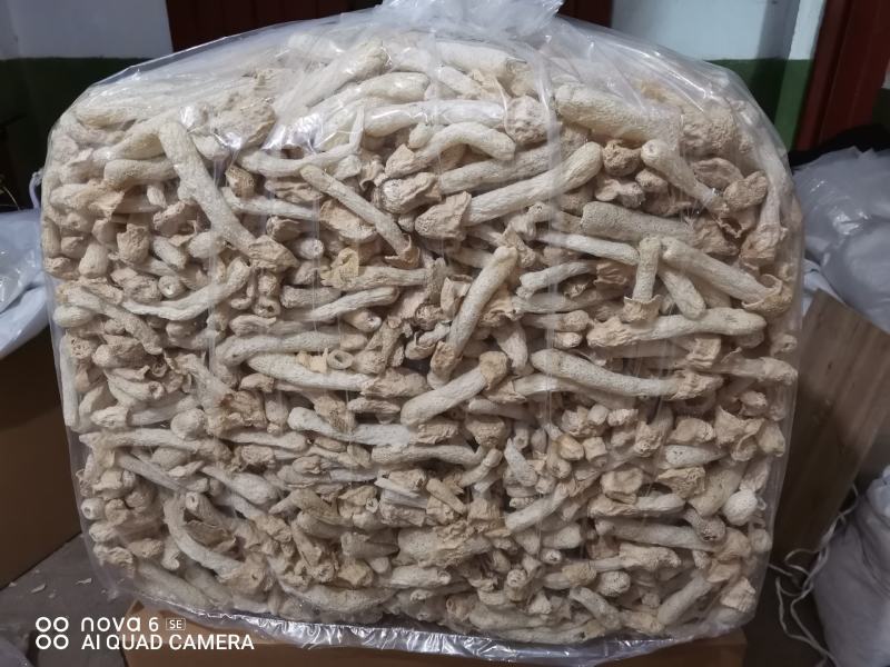竹荪球头茬竹荪10～15福建古田特产精装货
