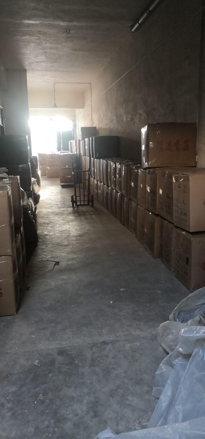 （干香菇）河南产地春栽2到5公分成品分级光面菇，包邮。