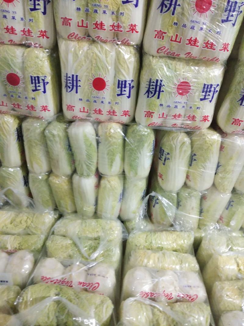 娃娃菜加工包装一条龙，供应各大批发市场、超市、电商