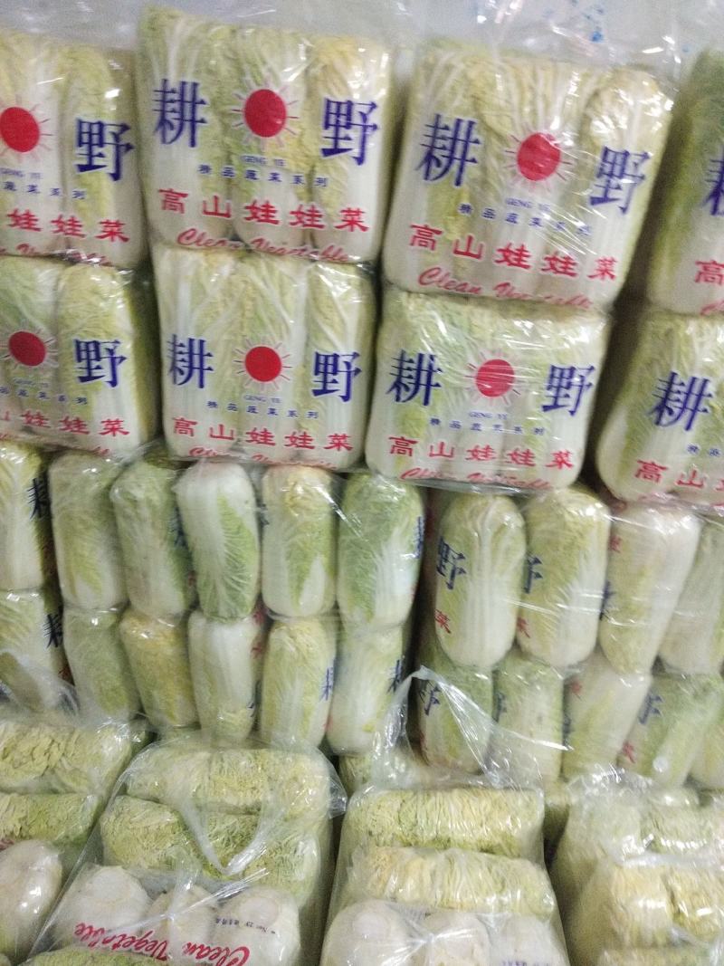 娃娃菜加工包装一条龙，供应各大批发市场、超市、电商