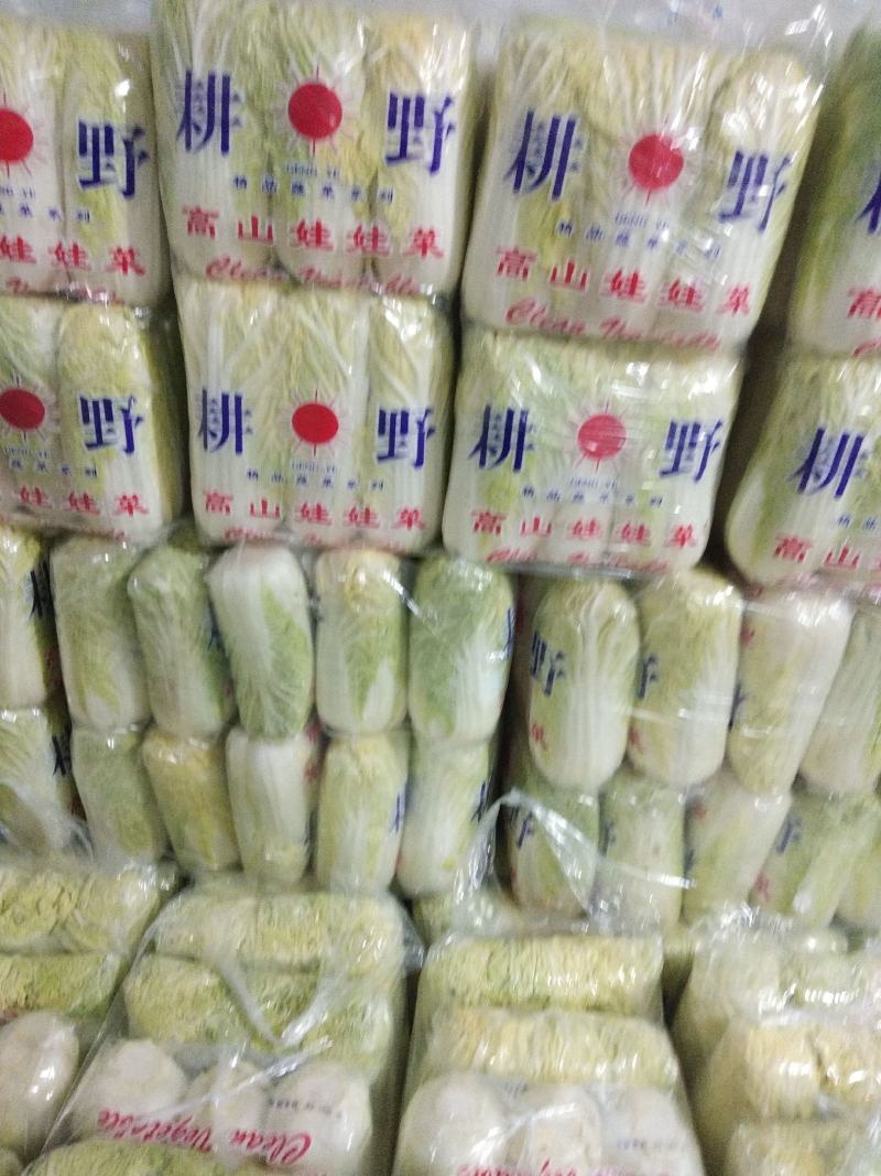 娃娃菜加工包装一条龙，供应各大批发市场、超市、电商