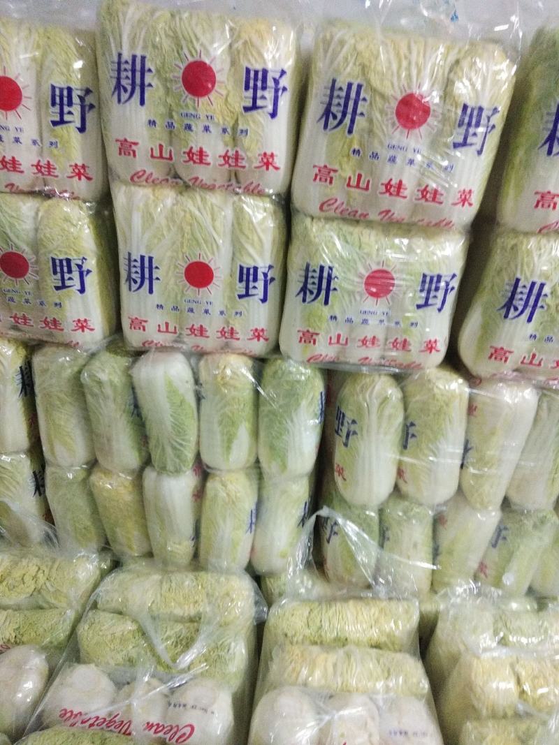 娃娃菜加工包装一条龙，供应各大批发市场、超市、电商