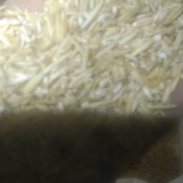 玉米芯粉无土无杂无膜