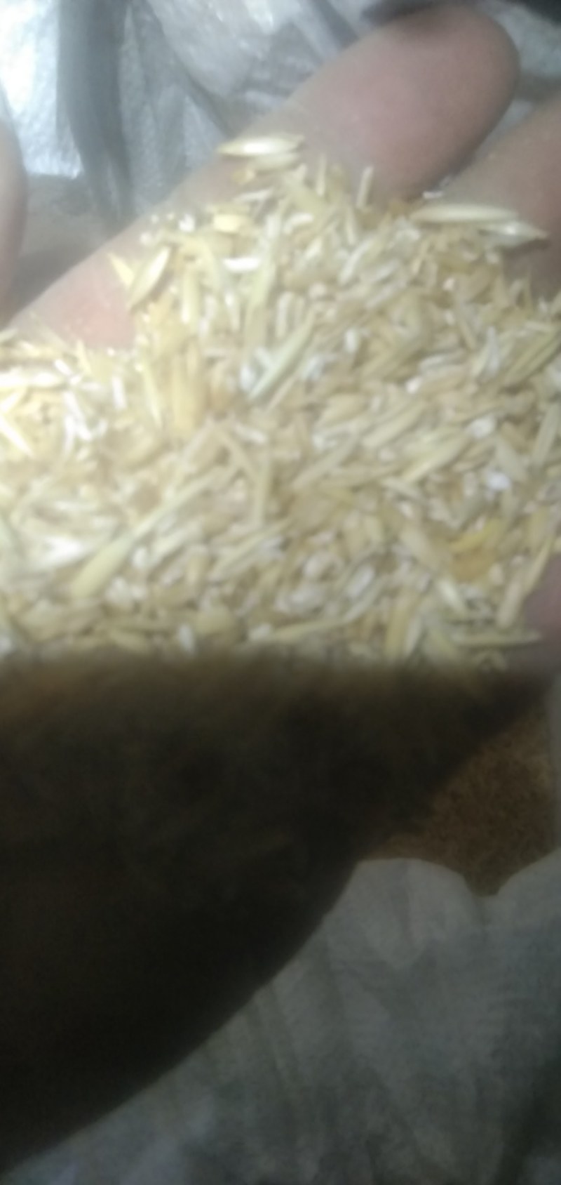 玉米芯粉无土无杂无膜