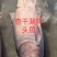 查干湖淡水胖头鱼支持全国发货支持一件代发