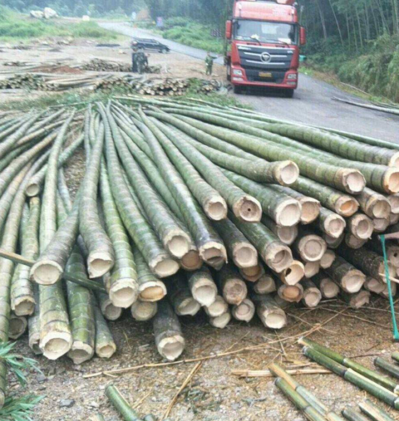 楠竹竹竿…竹炭…大棚竹竿…快子…好原材料