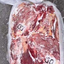 蒙古马肉，五分体精修，肉质鲜美，品质放心