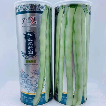 芸豆种子九粒白芸豆种子大田专用品种种子亩用2斤种子