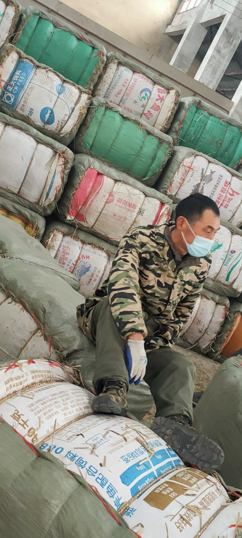 中药材通天草荸荠梗地栗梗基全人工凉晒一手货源可视频看货