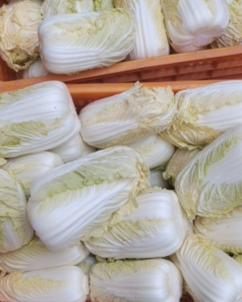 周口鹿邑娃娃菜上市啦，自家种植，按需发货，坚守品质