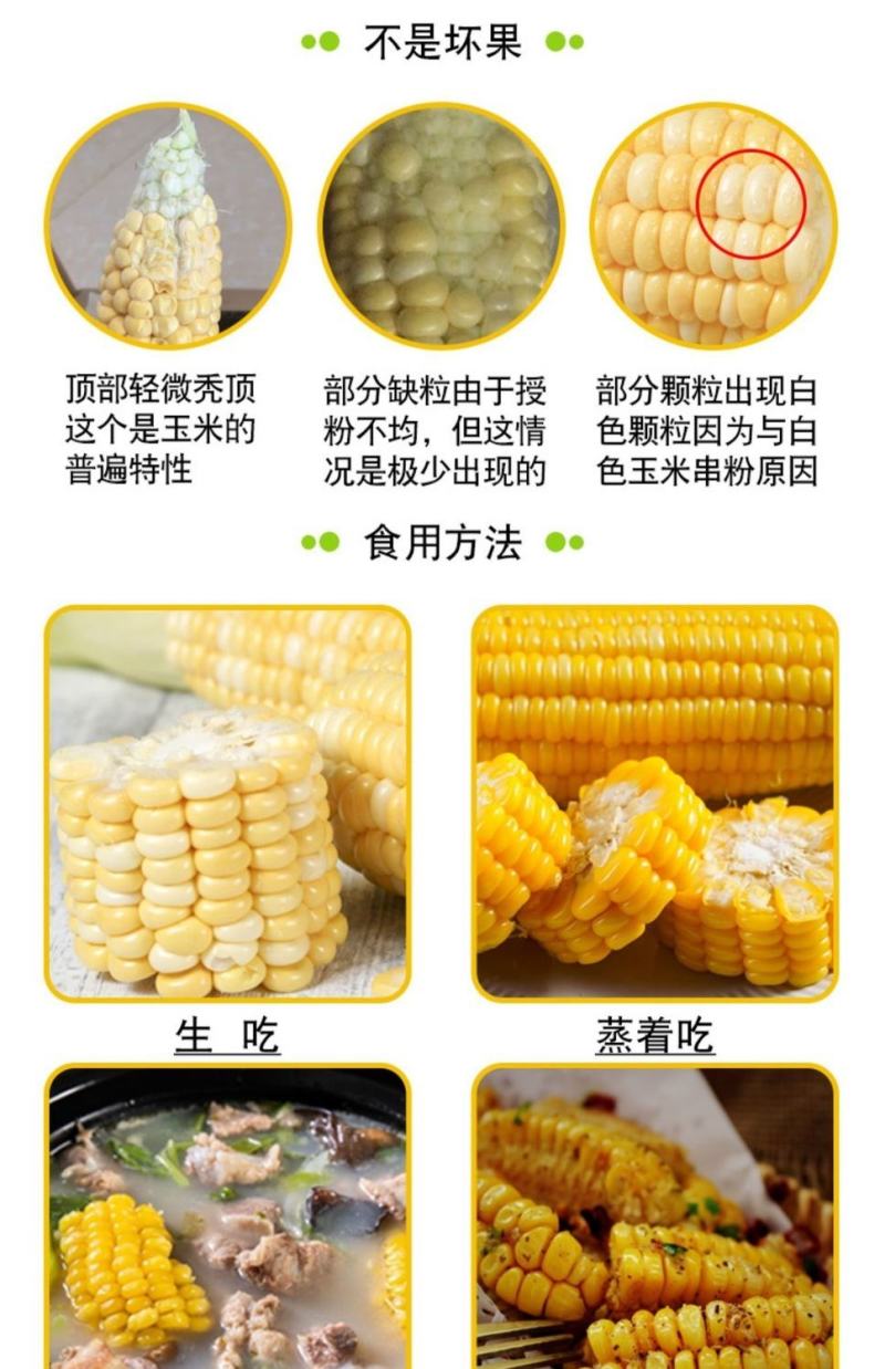 现摘水果甜玉米即食生吃棒新鲜水果类当季时令整箱10斤包邮