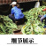 现摘水果甜玉米即食生吃棒新鲜水果类当季时令整箱10斤包邮