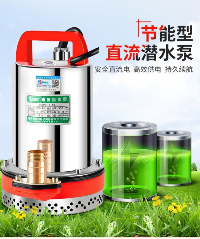 包邮大流量电动直流泵12v-72v水泵