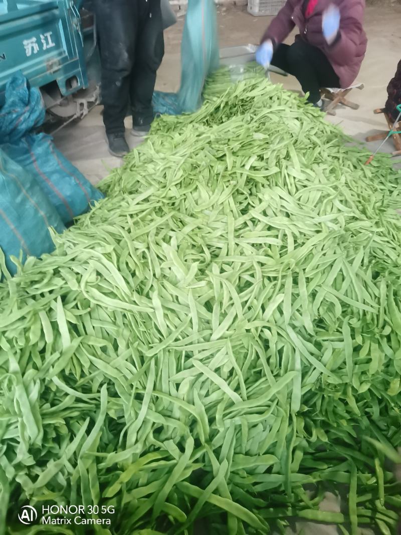 通货扁豆，扁青芸豆大量上市扁豆