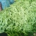通货扁豆，扁青芸豆大量上市扁豆