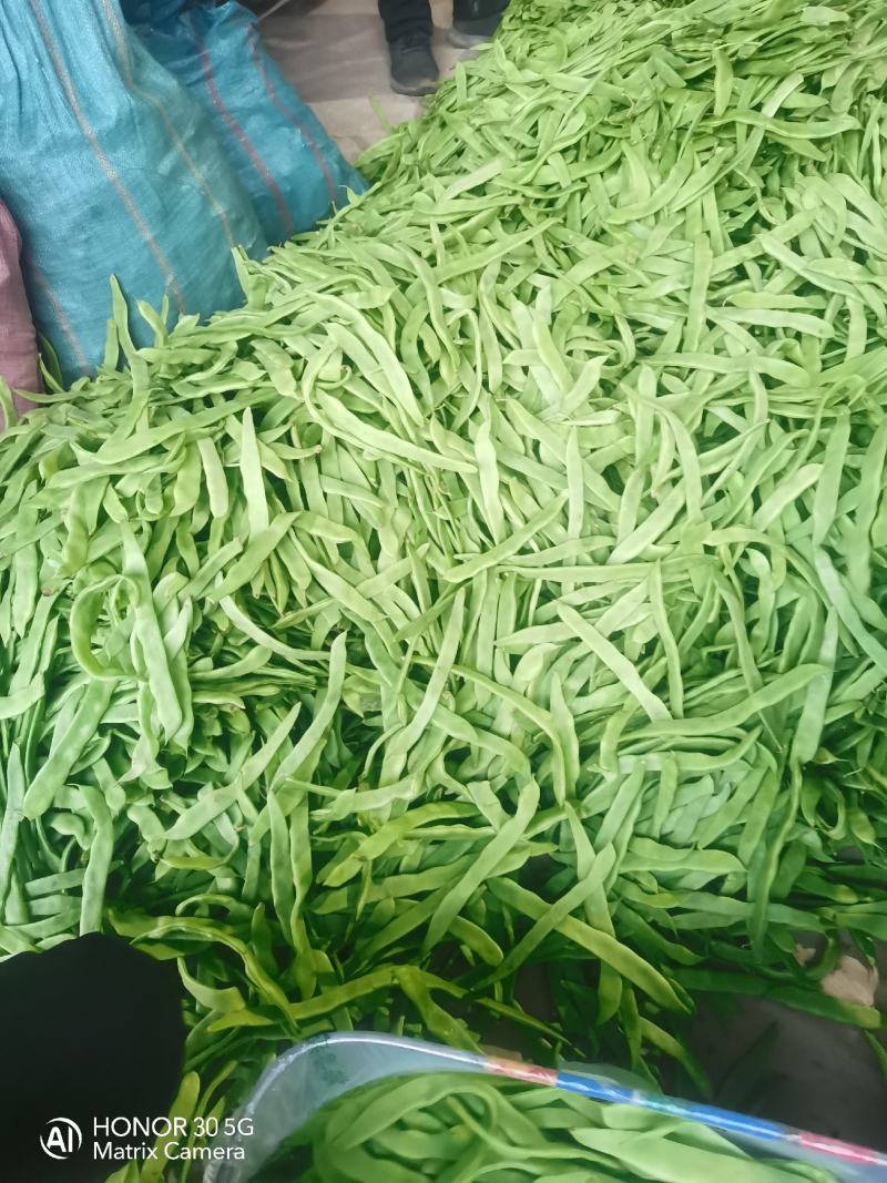 通货扁豆，扁青芸豆大量上市扁豆