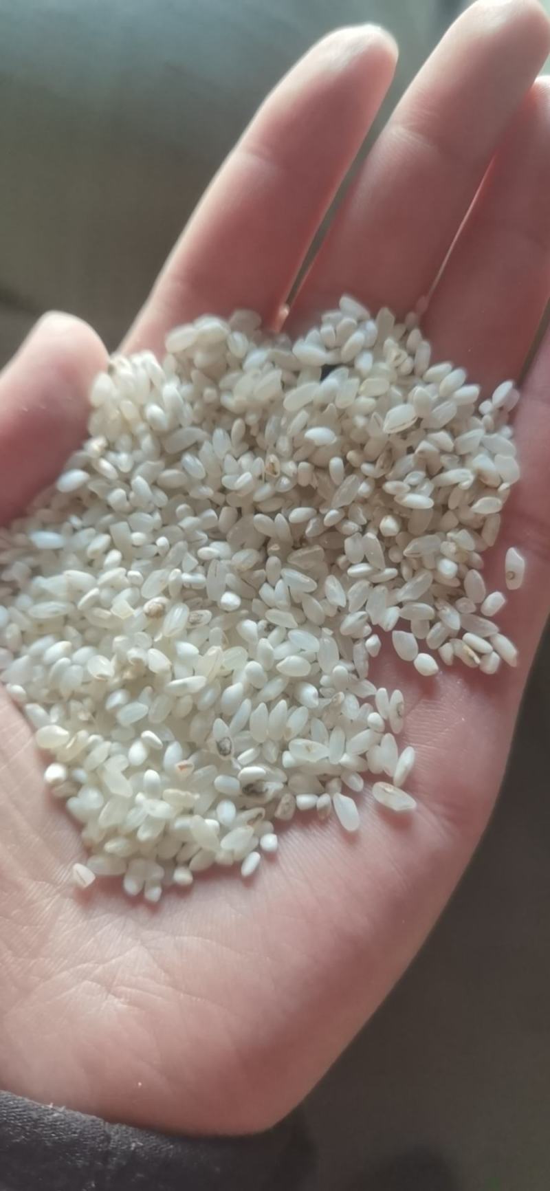 宁夏粳米色选米，质量没问题，欢迎询问