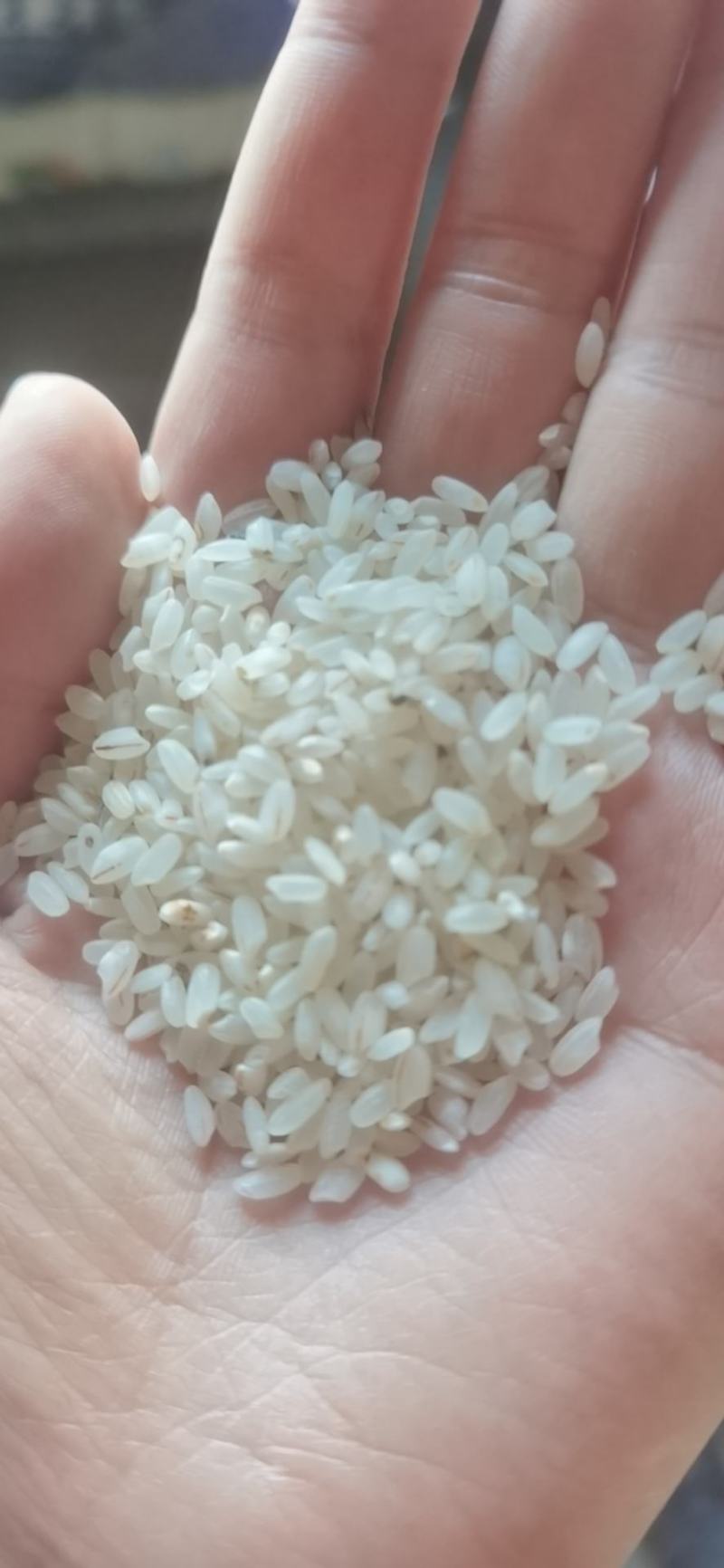 宁夏粳米色选米，质量没问题，欢迎询问