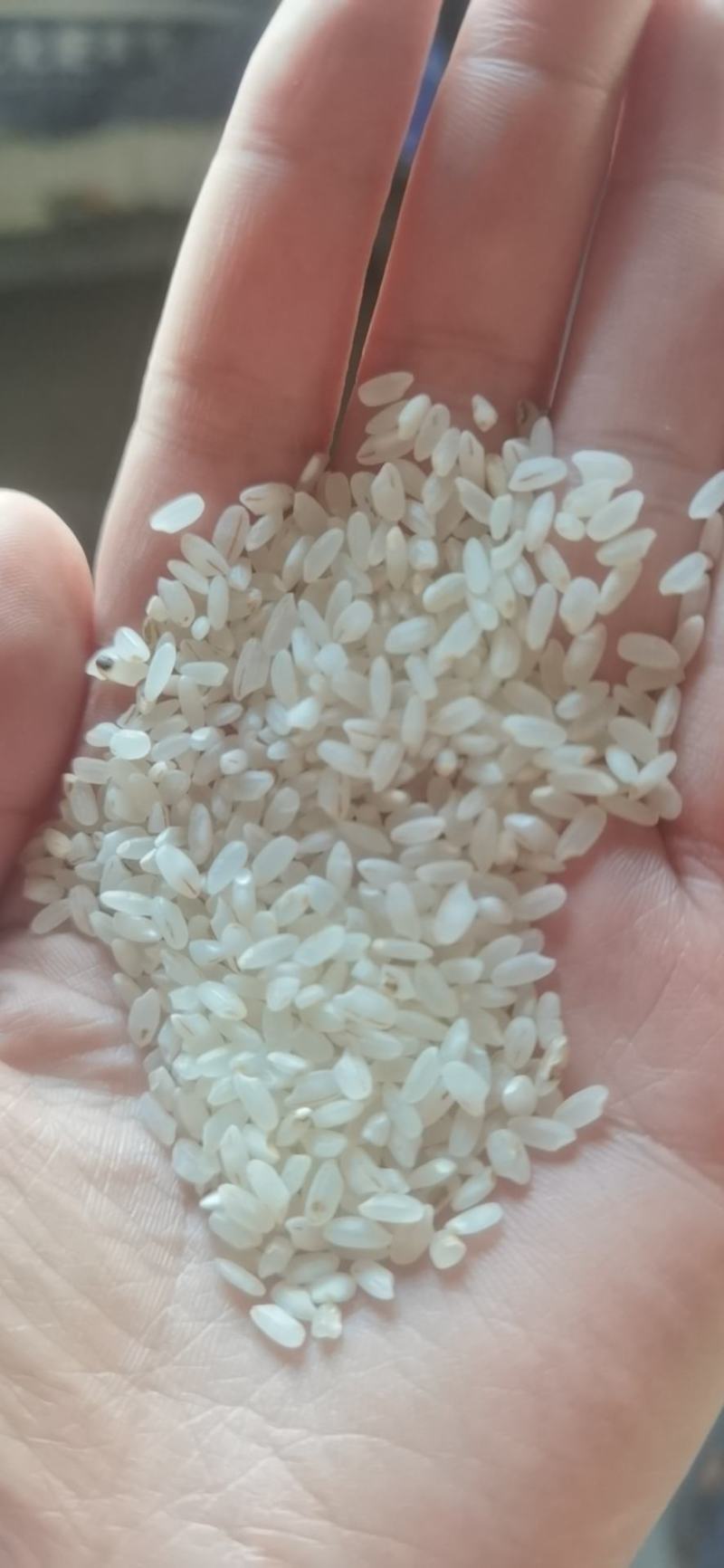 宁夏粳米色选米，质量没问题，欢迎询问