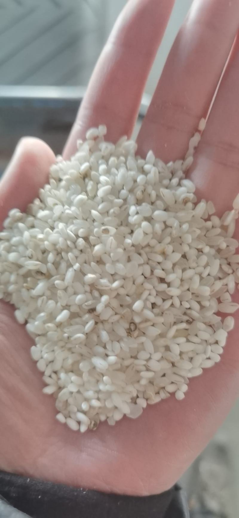 宁夏粳米色选米，质量没问题，欢迎询问
