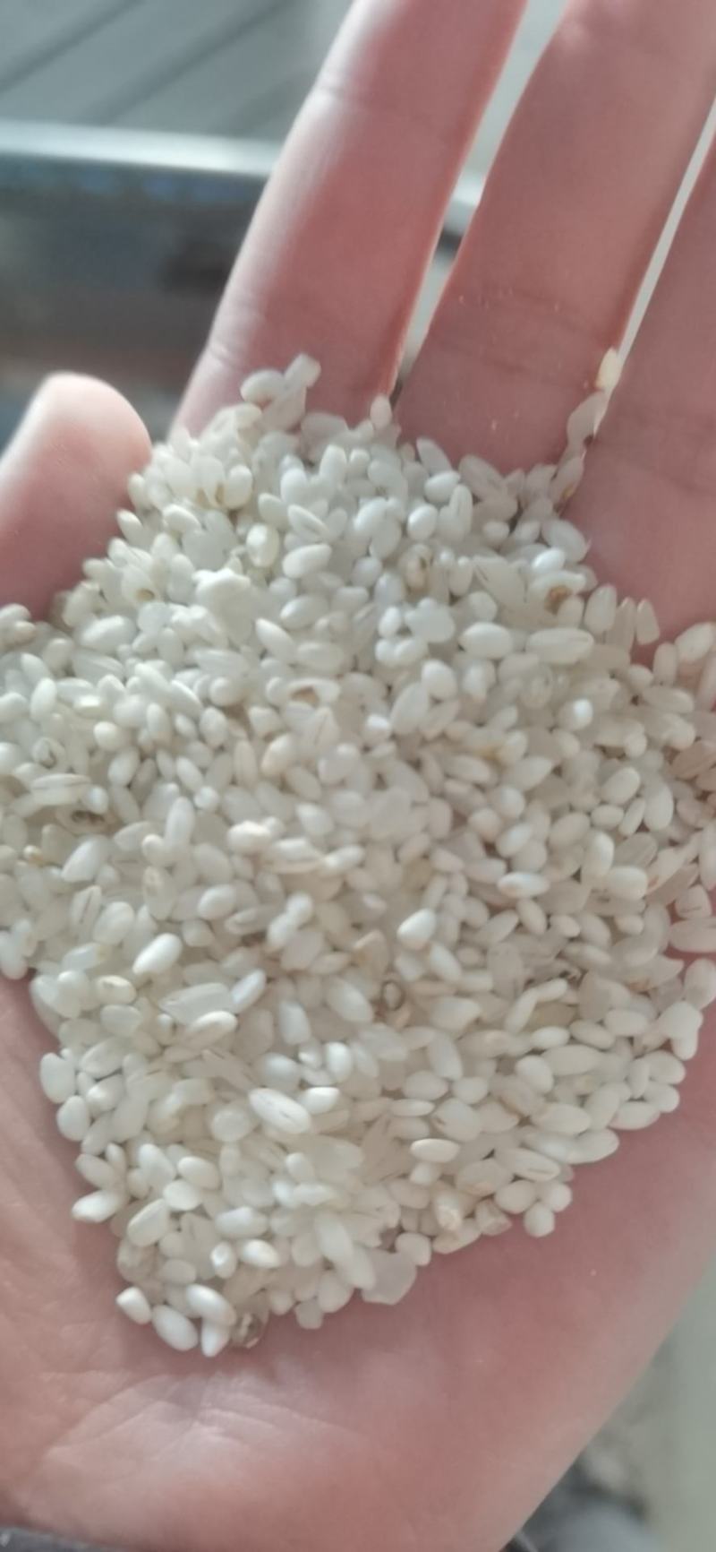 宁夏粳米色选米，质量没问题，欢迎询问