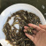 黄骨鱼苗优质淡水黄颡鱼苗牛尾巴黄腊丁黄辣丁