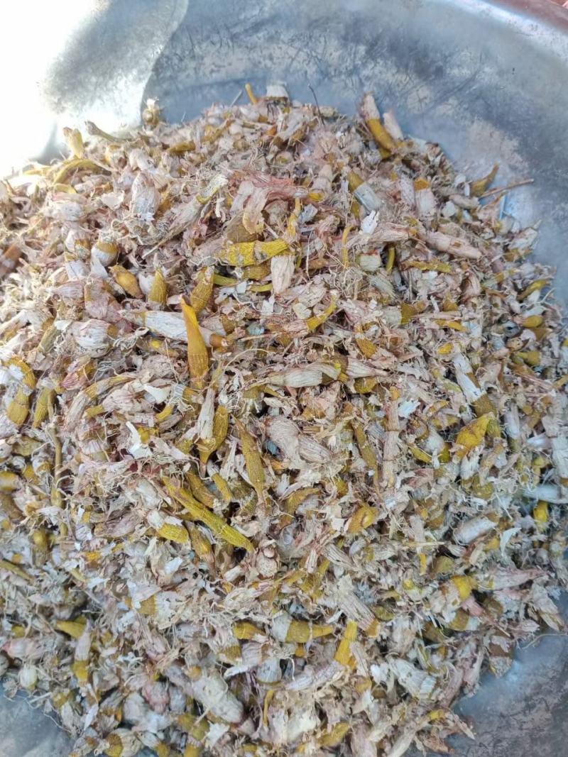 包邮纯野生虎牙石斛芽条（新货）全干新货，纯野生