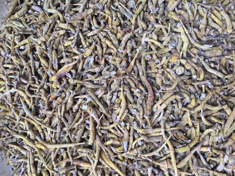 包邮纯野生虎牙石斛芽条（新货）全干新货，纯野生