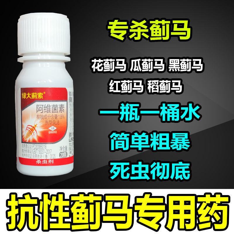 蓟马蓟索菜豆火龙果柑橘茄子海南广西蓟马专用杀虫剂