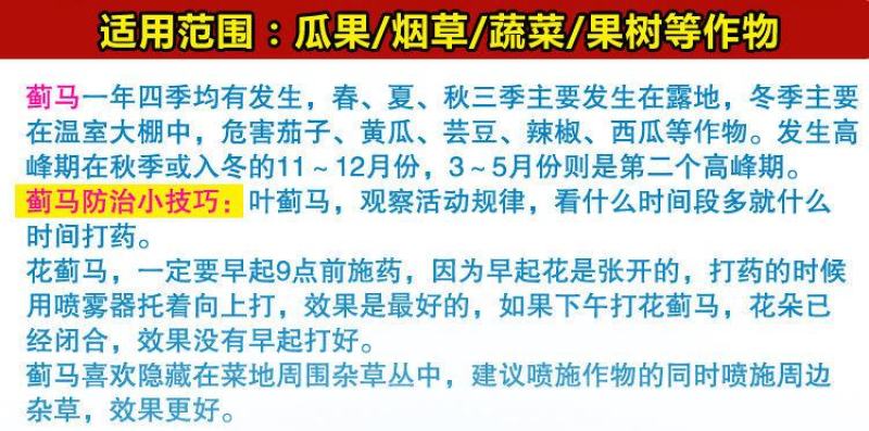 蓟马蓟索菜豆火龙果柑橘茄子海南广西蓟马专用杀虫剂