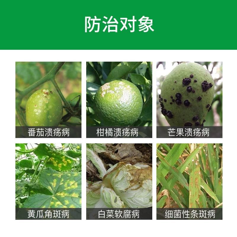 荣邦细管家春雷喹啉铜细菌真菌果树流胶溃疡腐烂杀菌剂