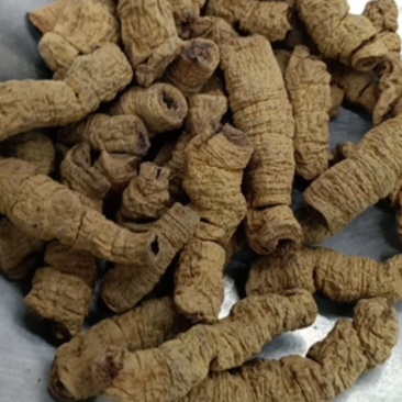 巴戟天巴戟肉货好主营云南药材品种齐全