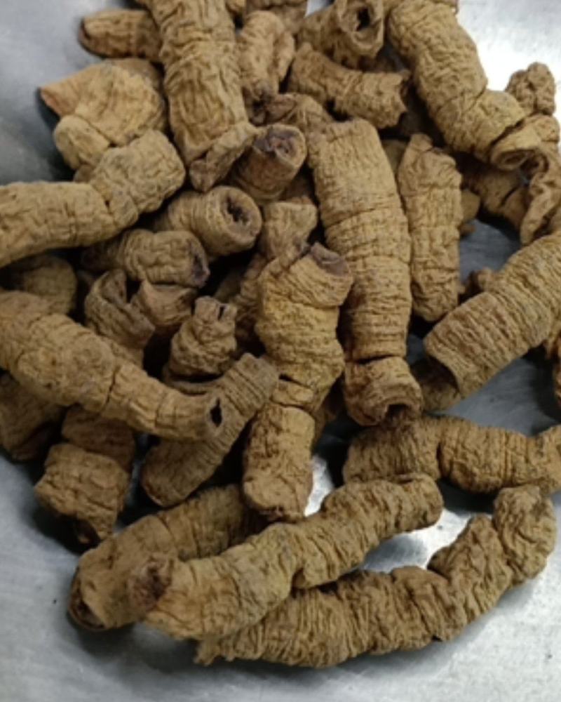 巴戟天巴戟肉货好主营云南药材品种齐全