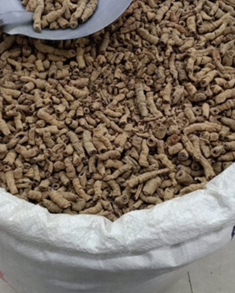 巴戟天巴戟肉货好主营云南药材品种齐全