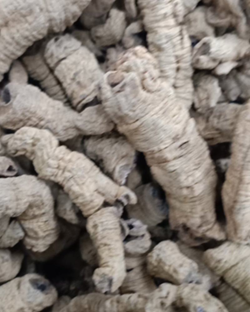 巴戟天巴戟肉货好主营云南药材品种齐全