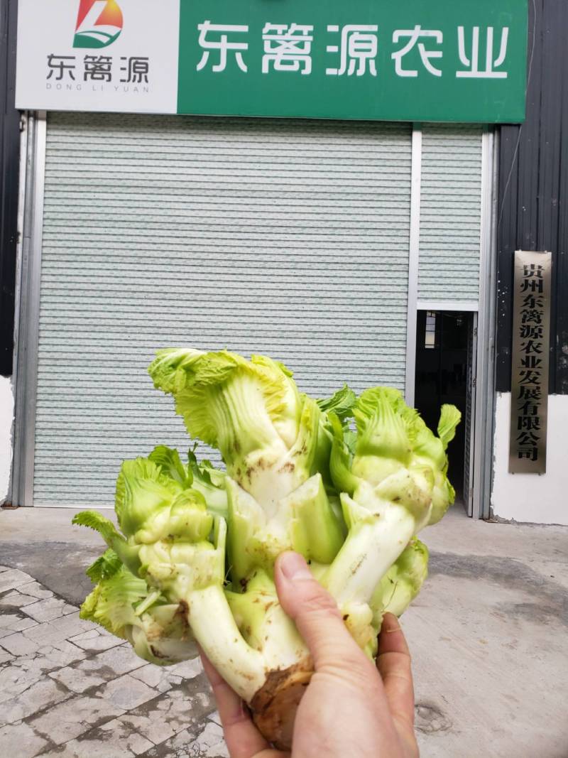贵州东篱源农业发展有限公司